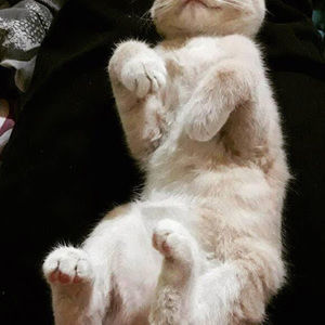 Meet your Posher, Fernando